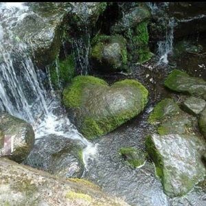 Meet your Posher, Ace